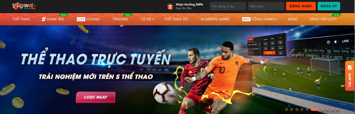 Gà chọi cấp 99Ok có những ưu điểm gì thu hút người chơi? - 99Ok