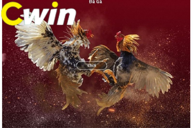 Đừng bỏ lỡ những ưu đãi tuyệt vời của Vinbet! - Vinbet