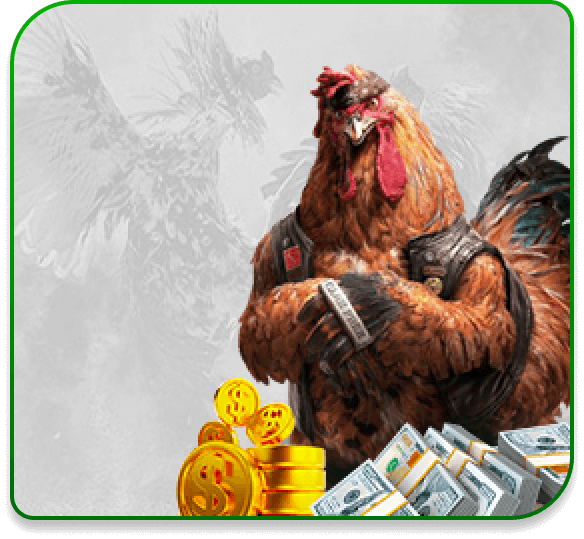 Tất cả các buổi phát trực tiếp trên nền tảng F8bet đều được thực hiện từ các địa điểm thực tế - F8bet