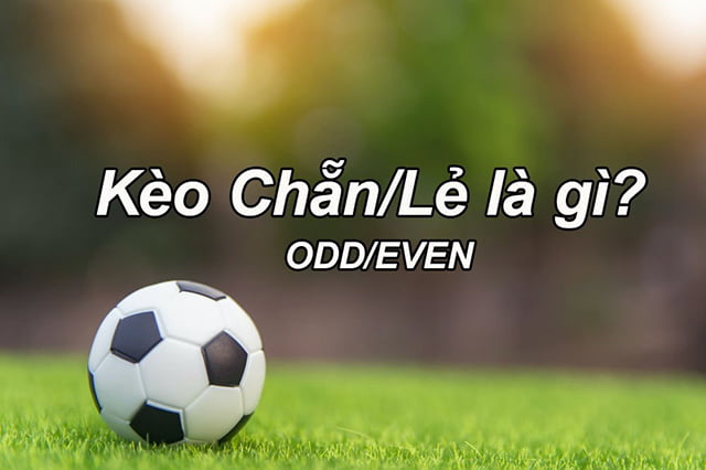 Các ưu đãi và chương trình khuyến mãi hiện có trên nền tảng 2Q - 2Q