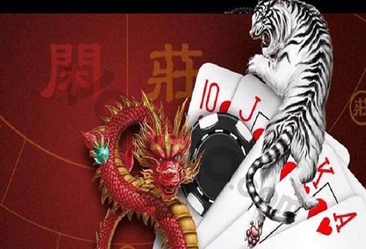 Ricwin 2026 – Các trò chơi thể thao có tỷ lệ cược cao - Ricwin