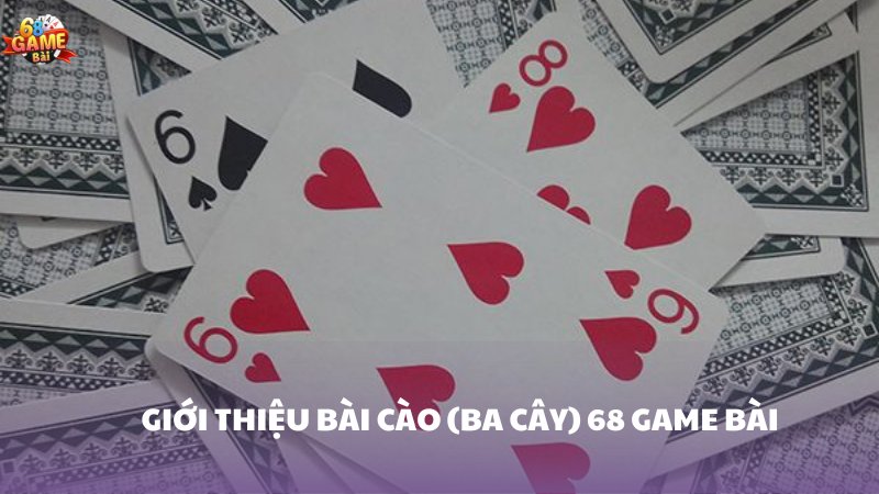 Tổng quan về các hoạt động quảng bá phổ biến nhất của V7sb - V7sb