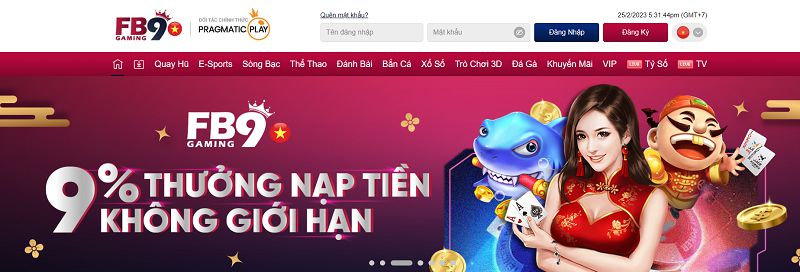 Dịch vụ chất lượng cấp Mibet - Mibet