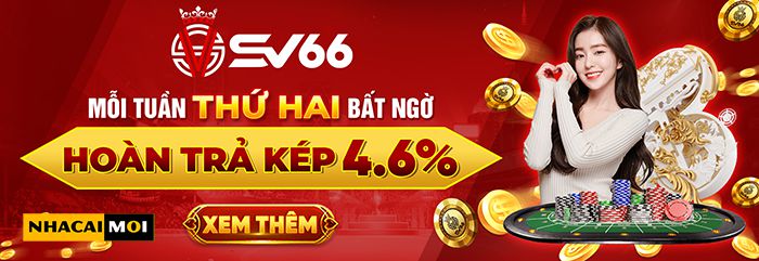 Giao diện sang trọng và thanh lịch của Xvip Pakistan - Xvip