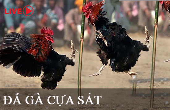 Hướng dẫn cách tham gia sự kiện xổ số 99Ok - 99Ok