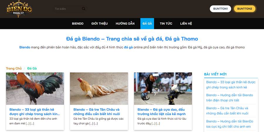 Nền tảng Xoso66 tặng điểm thưởng miễn phí cho 55 người dùng đầu tiên - Xoso66