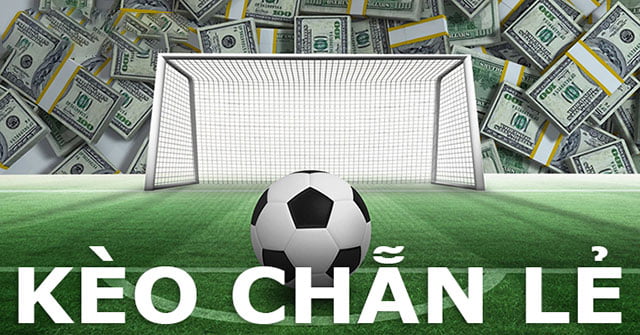 Đăng ký cấp độ Betvnd 2026: 2 phút | Phần thưởng: 1000 Reais | Đã xác minh KYC - Betvnd