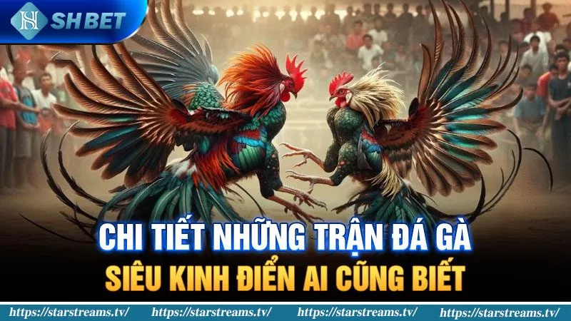 Chương trình Liên minh Vvvwin là gì? - Vvvwin